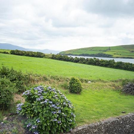 Half Door House Hotel Dingle Buitenkant foto