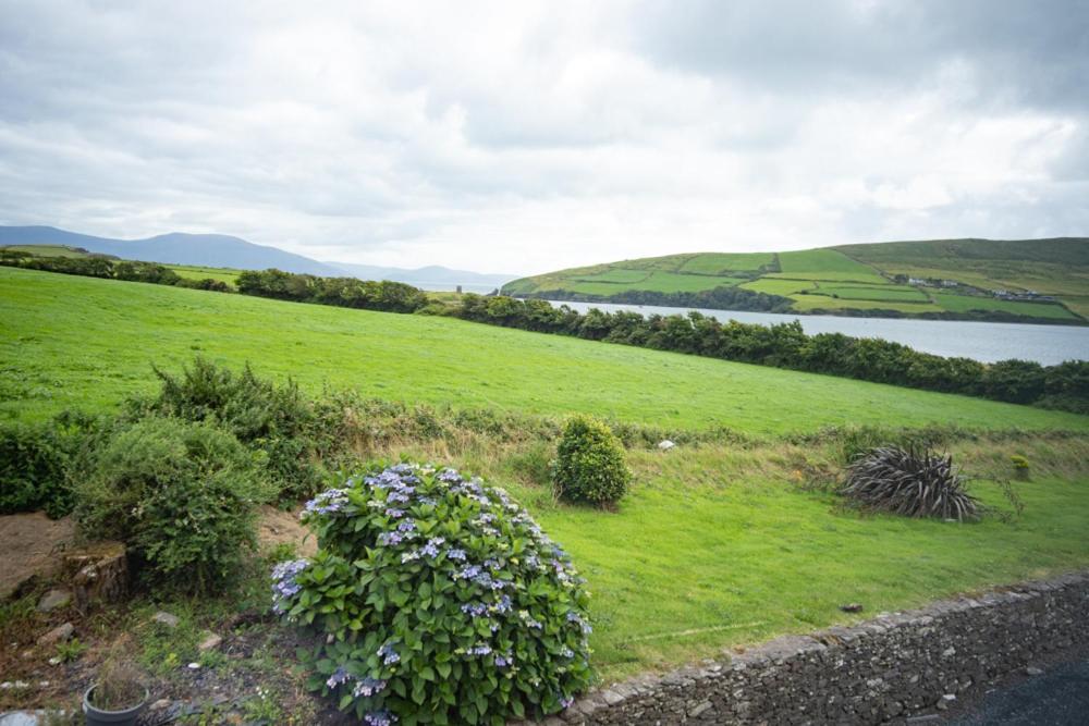 Half Door House Hotel Dingle Buitenkant foto