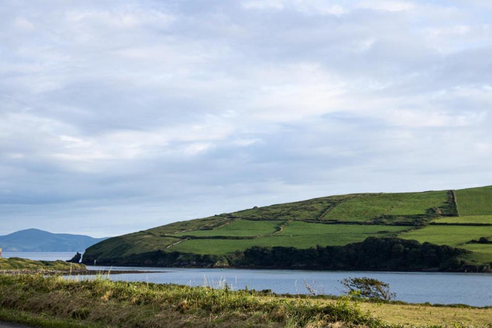 Half Door House Hotel Dingle Buitenkant foto