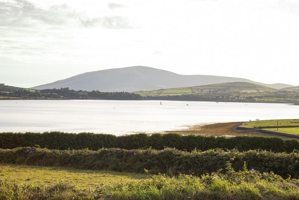 Half Door House Hotel Dingle Buitenkant foto